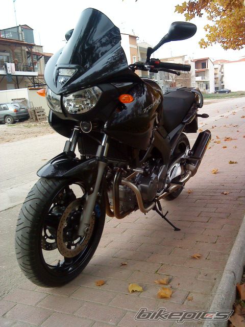 2010 YAMAHA TDM 900 | Picture 1845158 motorcycle photo