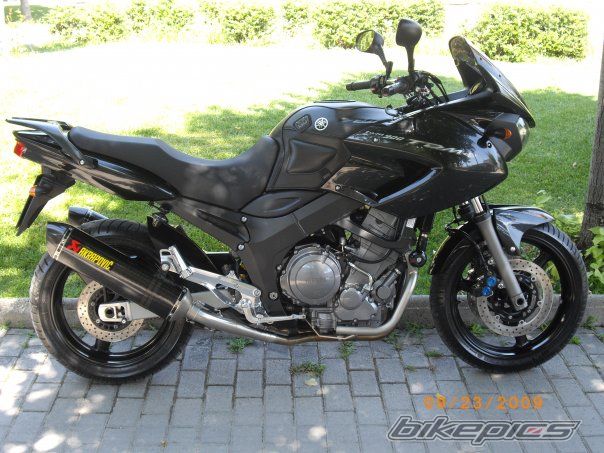 2010 YAMAHA TDM 900 | Picture 1845164 motorcycle photo