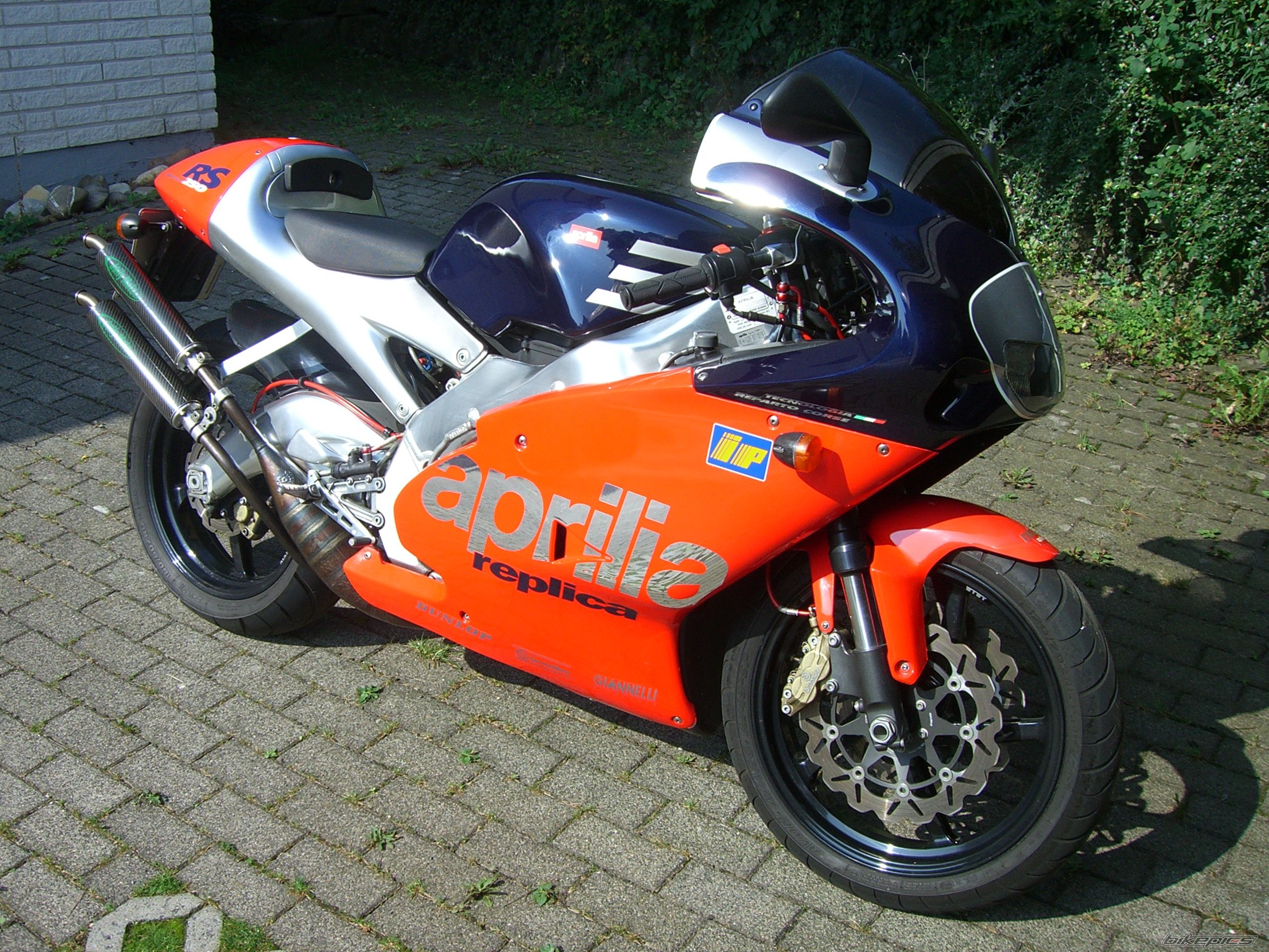 1999 APRILIA RSW 250 | Picture 1846187 motorcycle photo