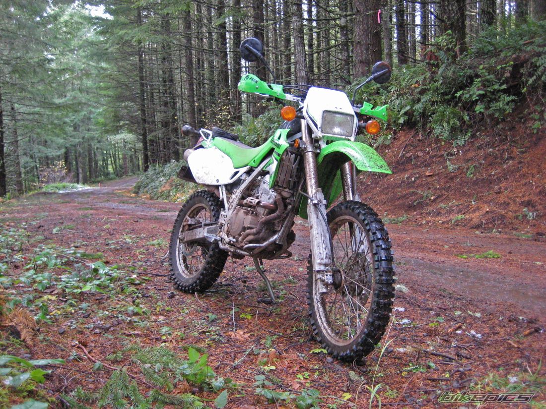 2007 KAWASAKI KLX 250 | Picture 1846694 motorcycle photo