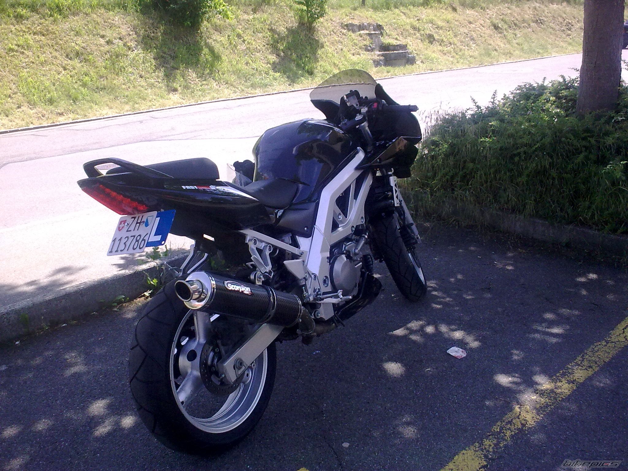 2003 SUZUKI SV 650 | Picture 1846874 motorcycle photo