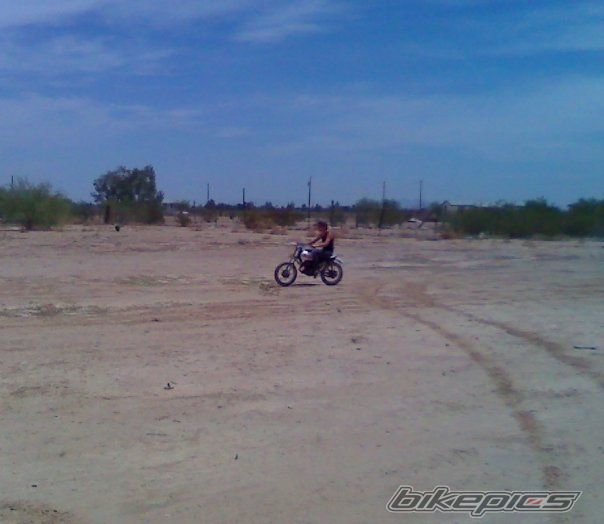 1982 YAMAHA MX 80 | Picture 1846977 motorcycle photo