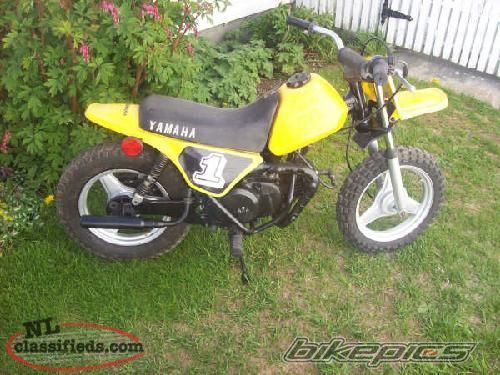 1984 YAMAHA PW 50 | Picture 1847007 motorcycle photo