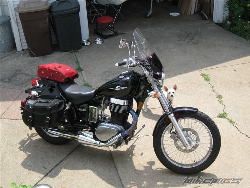 2007 SUZUKI BOULEVARD S40 | Picture 1847340 motorcycle photo