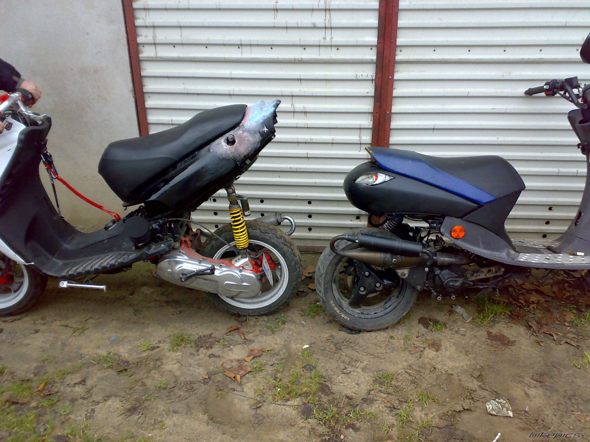    | Picture 1847398 motorcycle photo