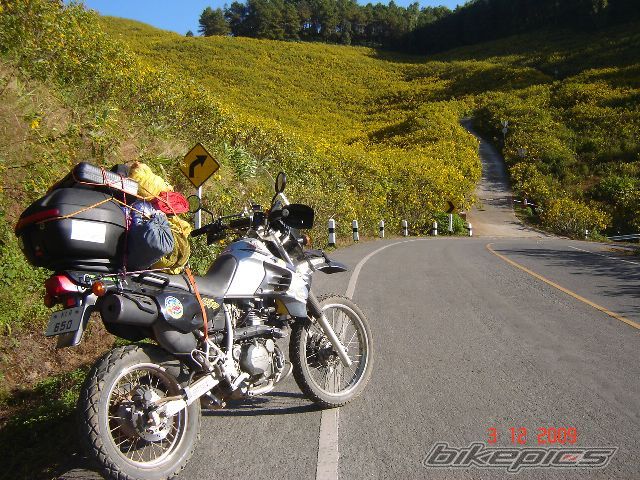 2003 KAWASAKI KLR 650 | Picture 1847467 motorcycle photo