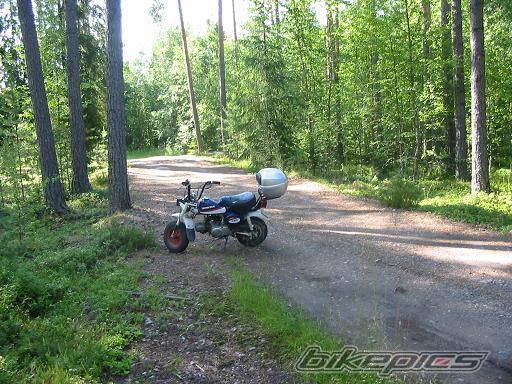 2004 HONDA Z 50 | Picture 184755 motorcycle photo