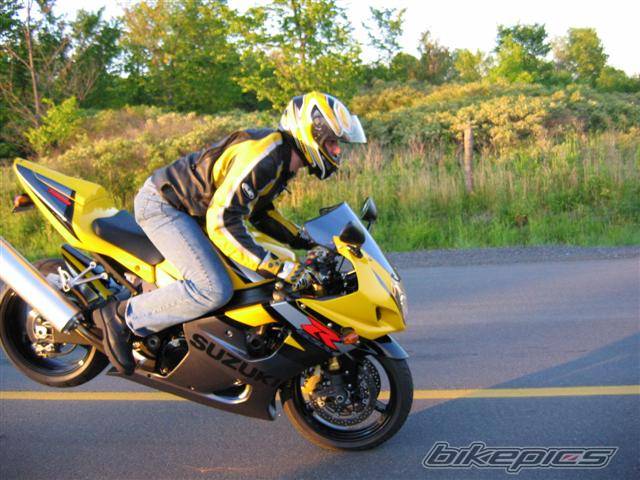 2004 SUZUKI GSX R 1000 | Picture 184790 motorcycle photo