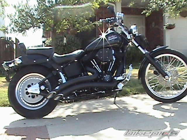 2000 HARLEY DAVIDSON FXSTSB | Picture 1848059 motorcycle photo