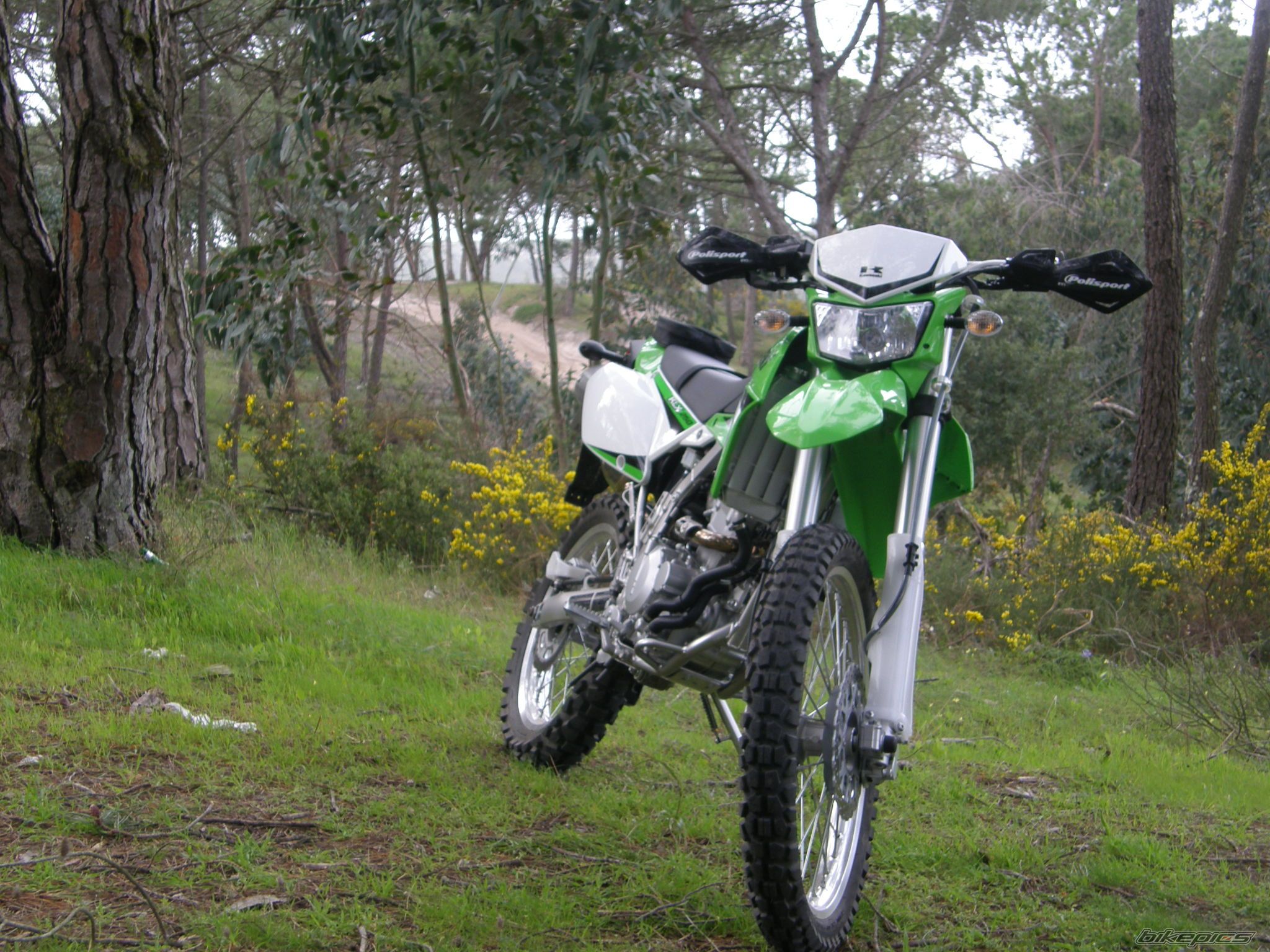 2009 KAWASAKI KLX 250 | Picture 1848223 motorcycle photo