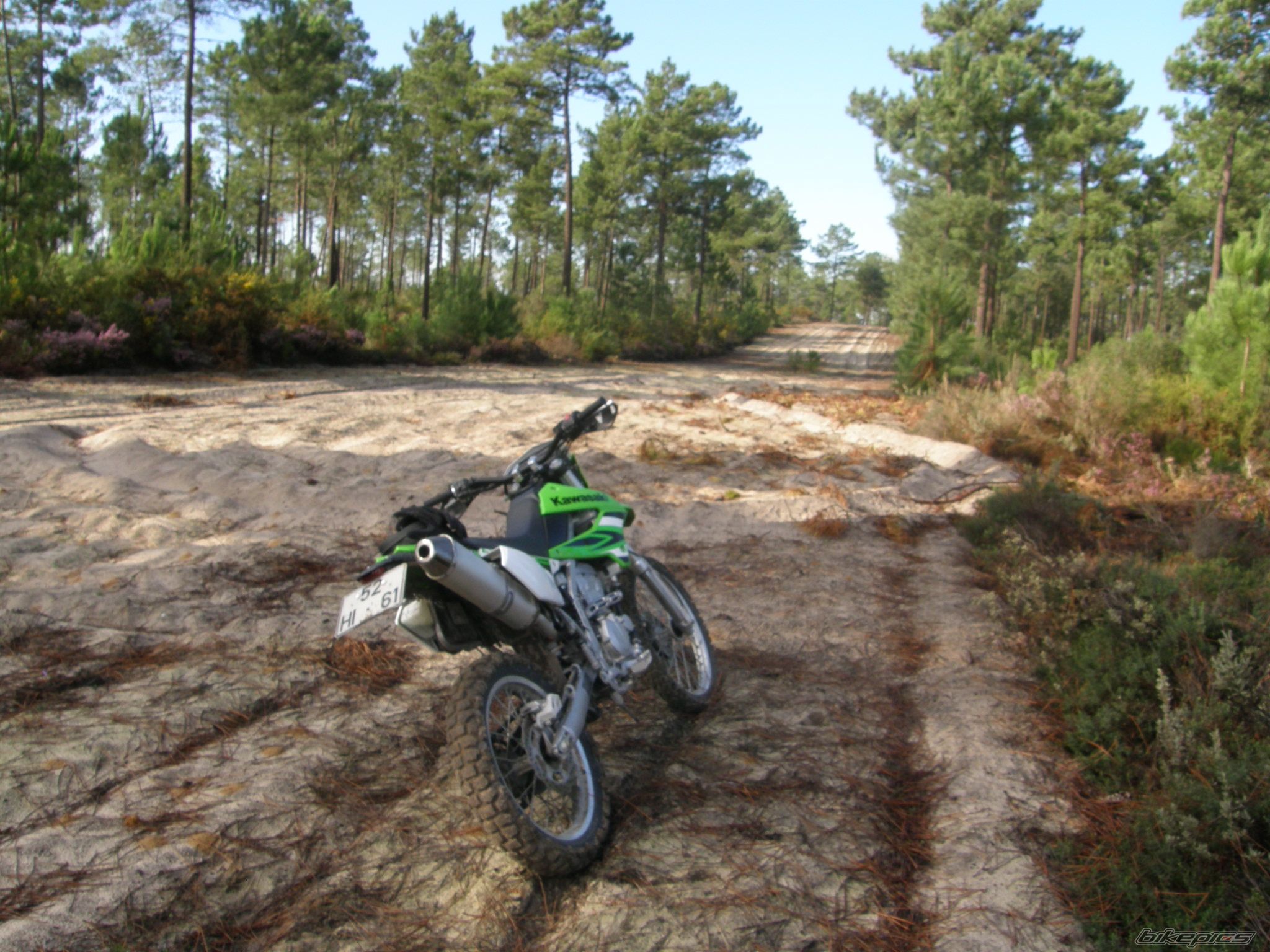 2009 KAWASAKI KLX 250 | Picture 1848248 motorcycle photo