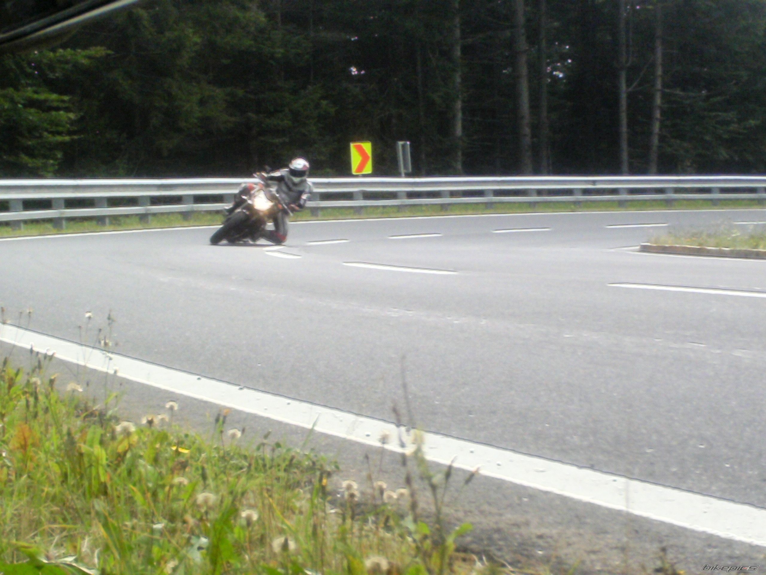 2009 YAMAHA FZ 1N | Picture 1849039 motorcycle photo