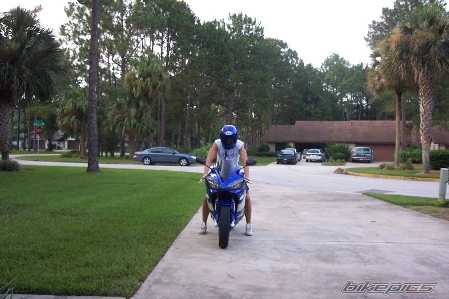 2001 YAMAHA YZF R1 | Picture 184906 motorcycle photo