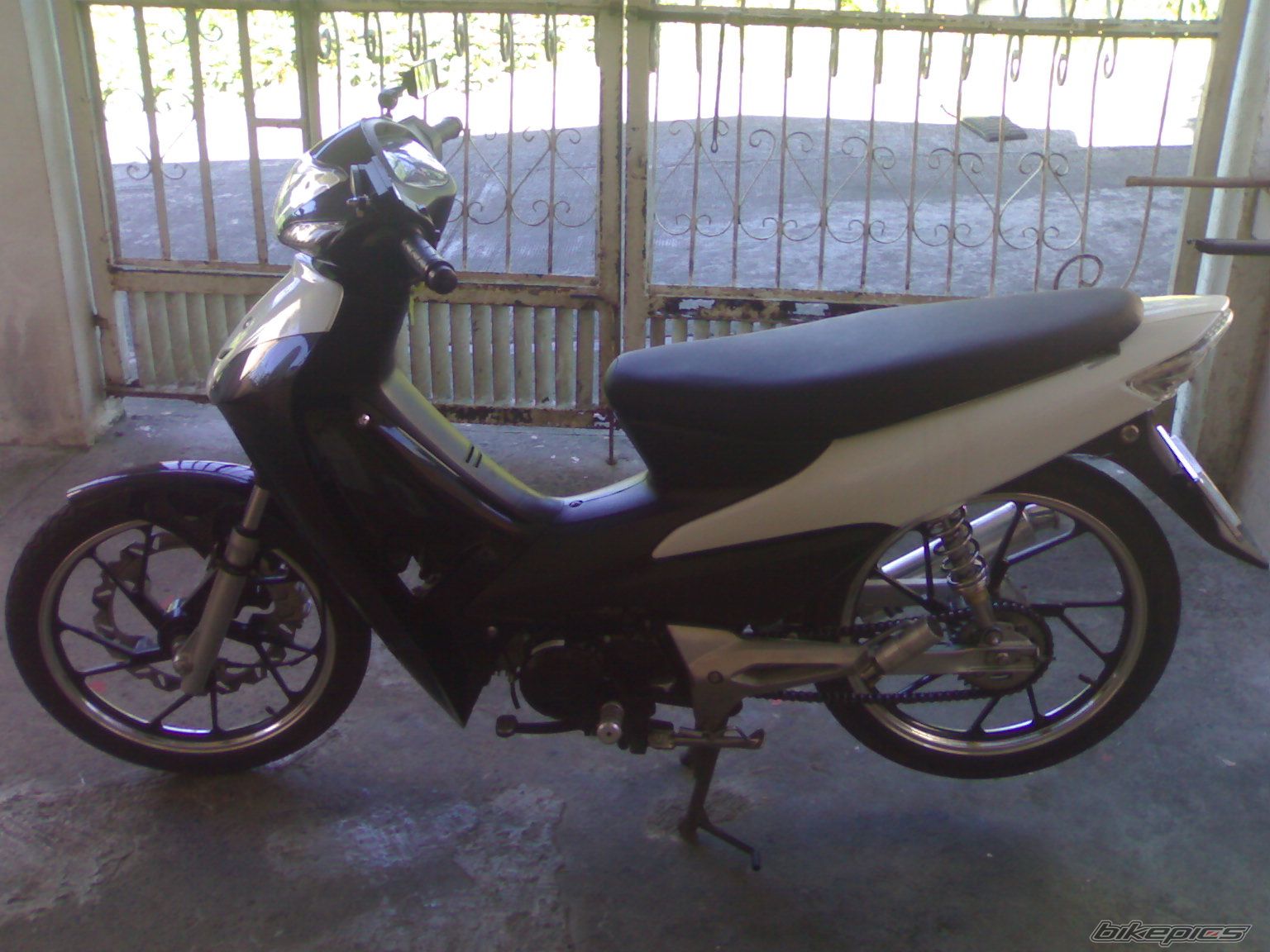 2009 HONDA WAVE 100 | Picture 1849803 motorcycle photo