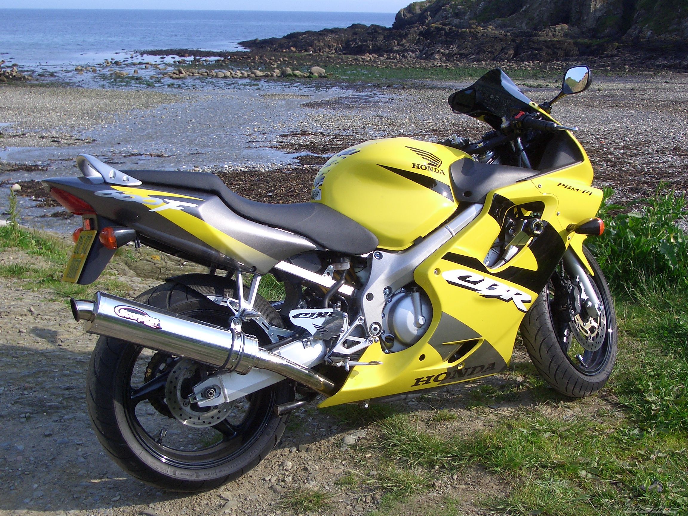 2002 HONDA CBR 600 | Picture 1850054 motorcycle photo