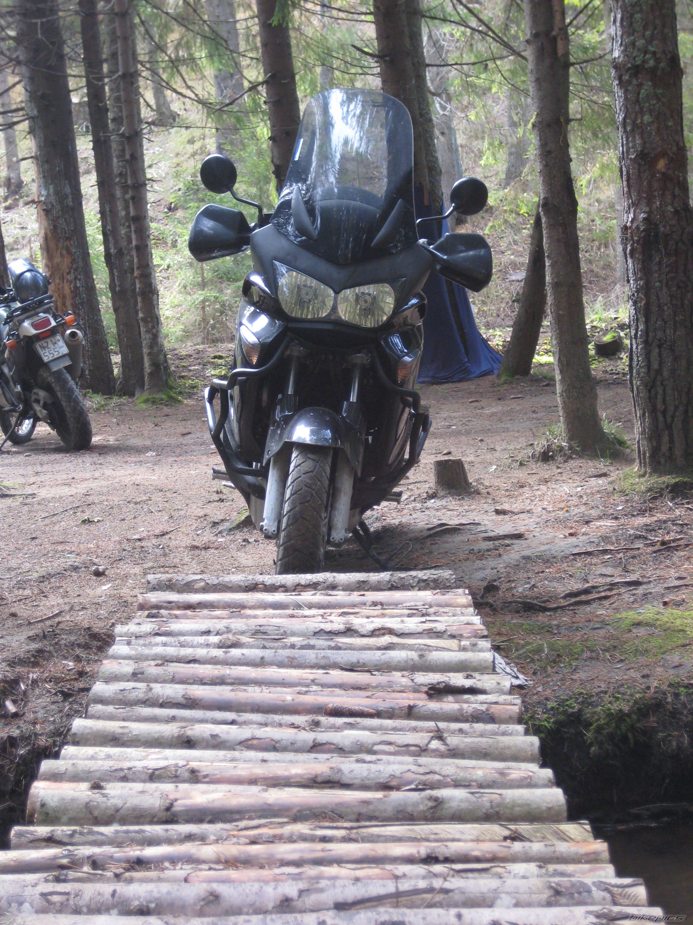 2008 HONDA XL 1000V VARADERO | Picture 1850301 motorcycle photo
