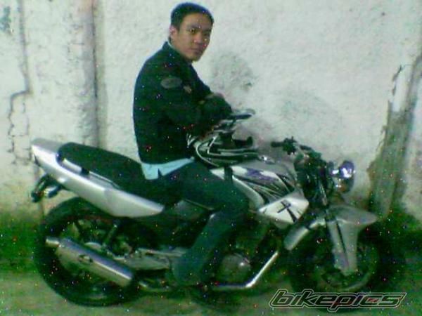 1997 HONDA TIGER | Picture 1850557 motorcycle photo
