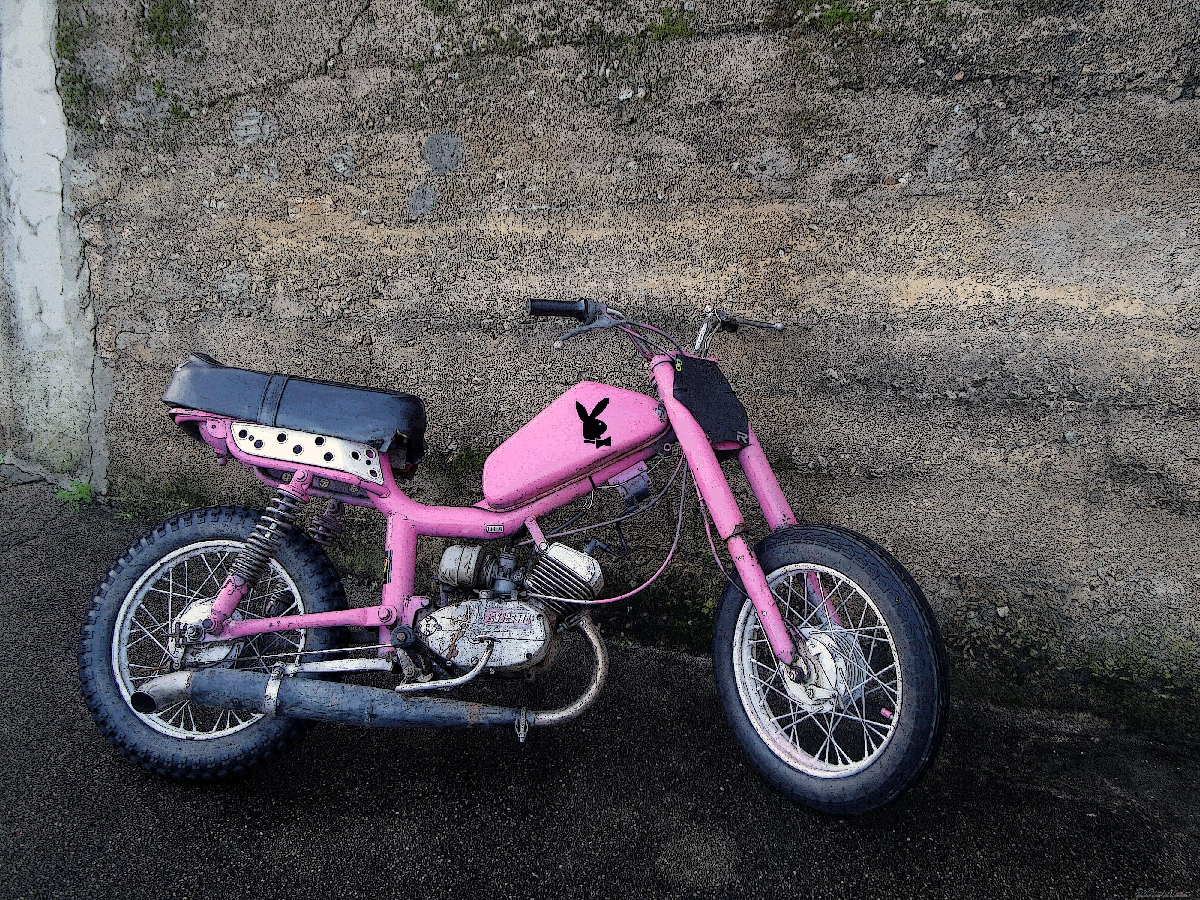 1980 CASAL CONFERSIL | Picture 1850606 motorcycle photo