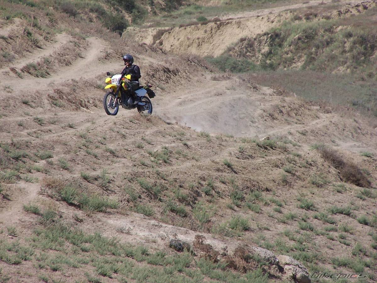 2003 SUZUKI DR 650 | Picture 185072 motorcycle photo
