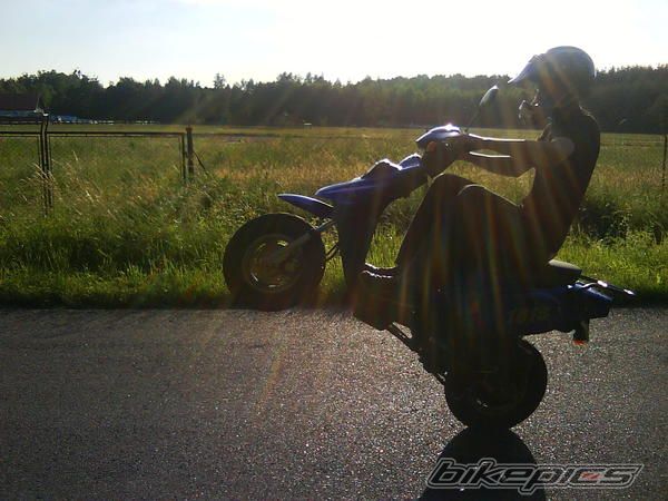 2006 TGB ORION 101 S | Picture 1850755 motorcycle photo