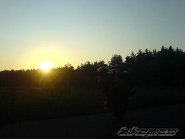 2006 TGB ORION 101 S | Picture 1850760 motorcycle photo