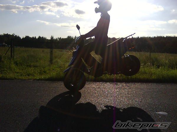 2006 TGB ORION 101 S | Picture 1850762 motorcycle photo