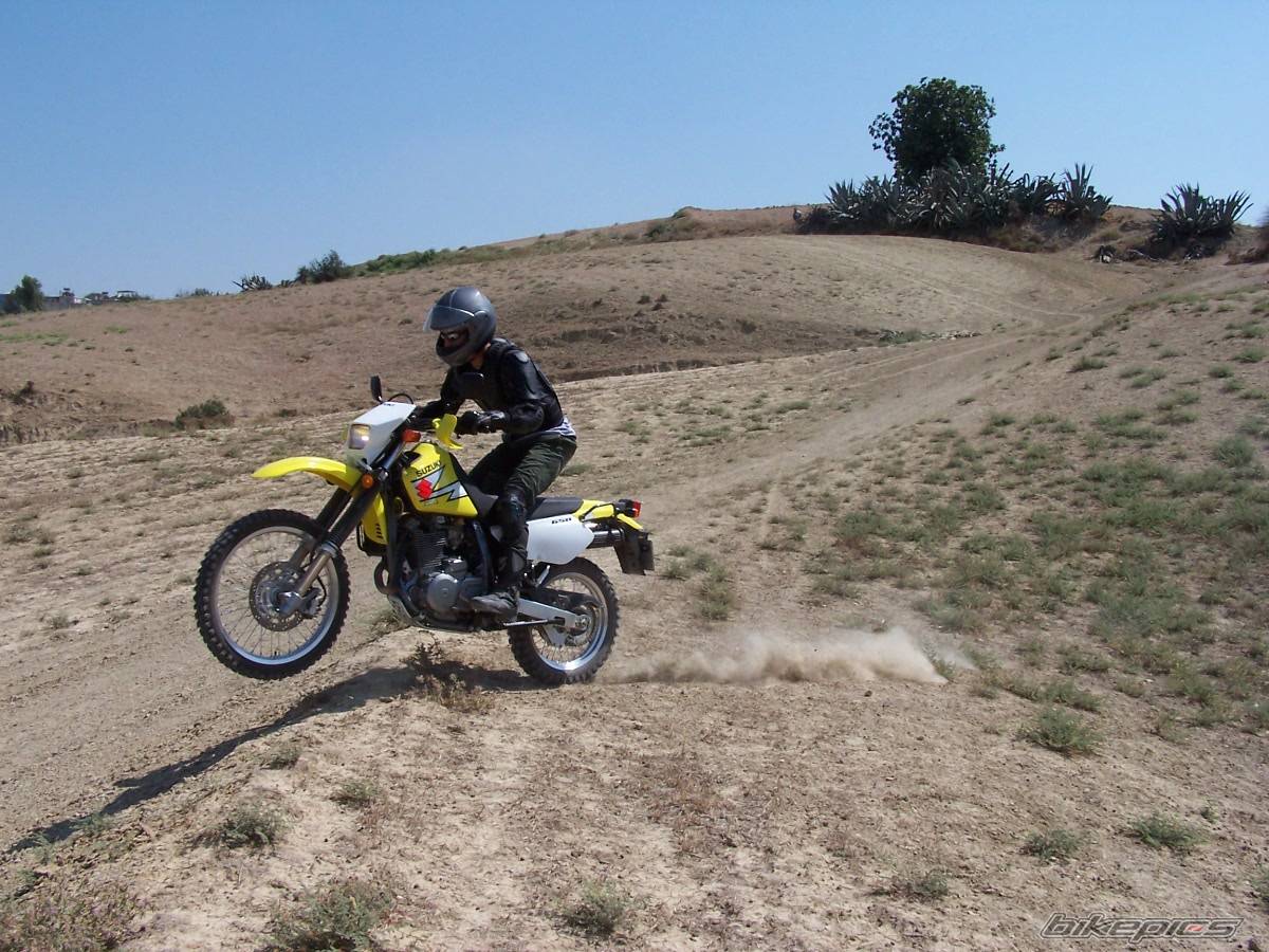 2003 SUZUKI DR 650 | Picture 185077 motorcycle photo