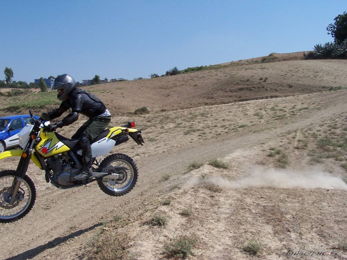 2003 SUZUKI DR 650 | Picture 185081 motorcycle photo