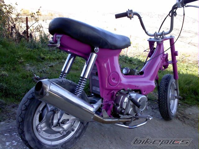 2010 HONDA CHALY | Picture 1850918 motorcycle photo