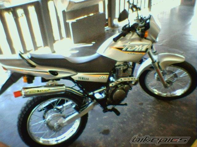 2003 YAMAHA TDM 225 | Picture 185106 motorcycle photo