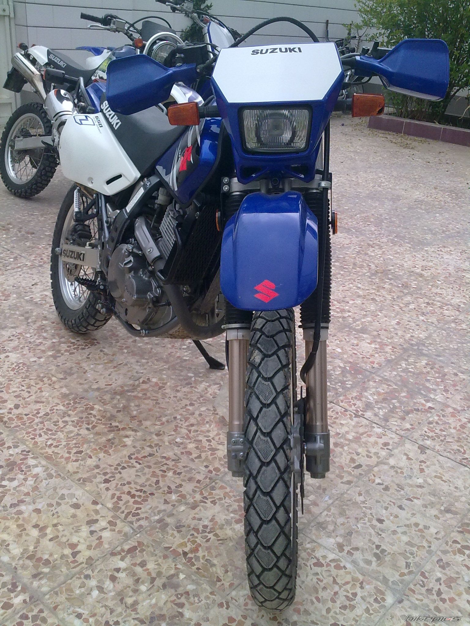 2007 SUZUKI DR 650 | Picture 1851304 motorcycle photo
