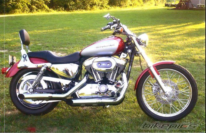 2005 HARLEY DAVIDSON XL 1200 C | Picture 1851406 motorcycle photo