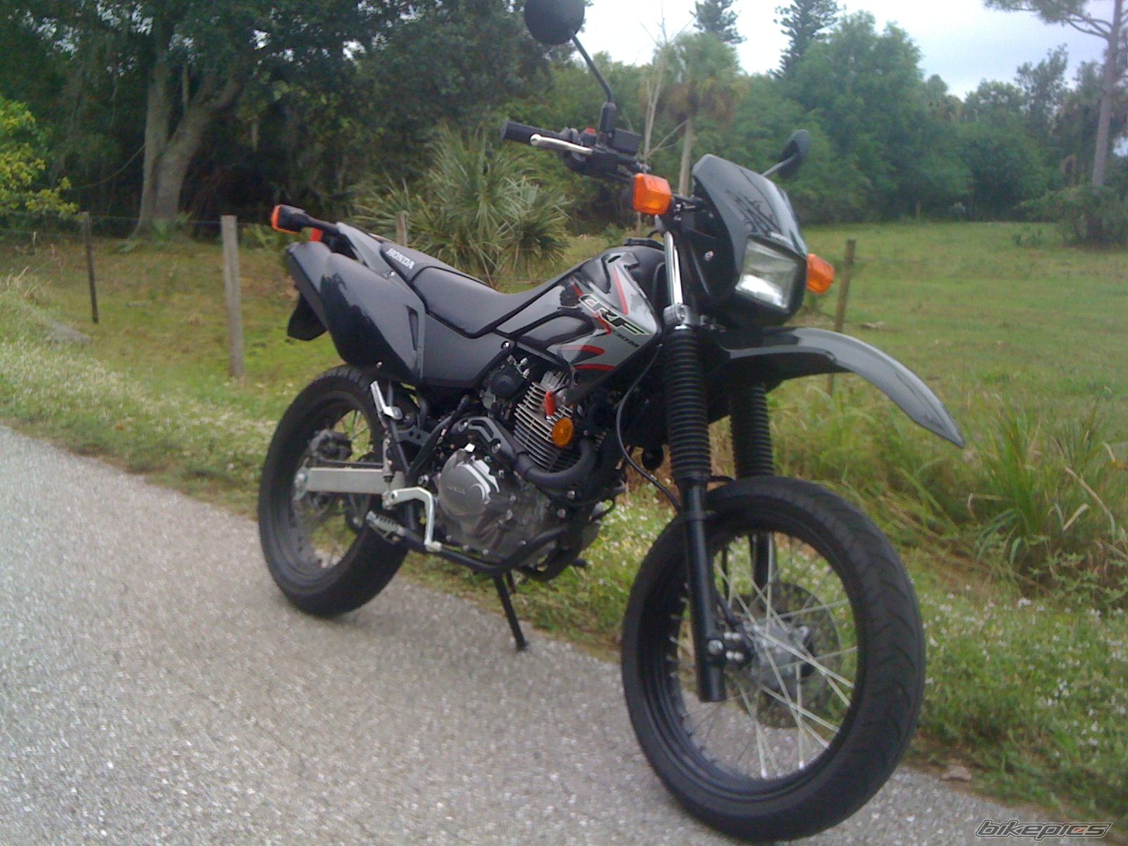 2009 HONDA CRF 230 | Picture 1853041 motorcycle photo