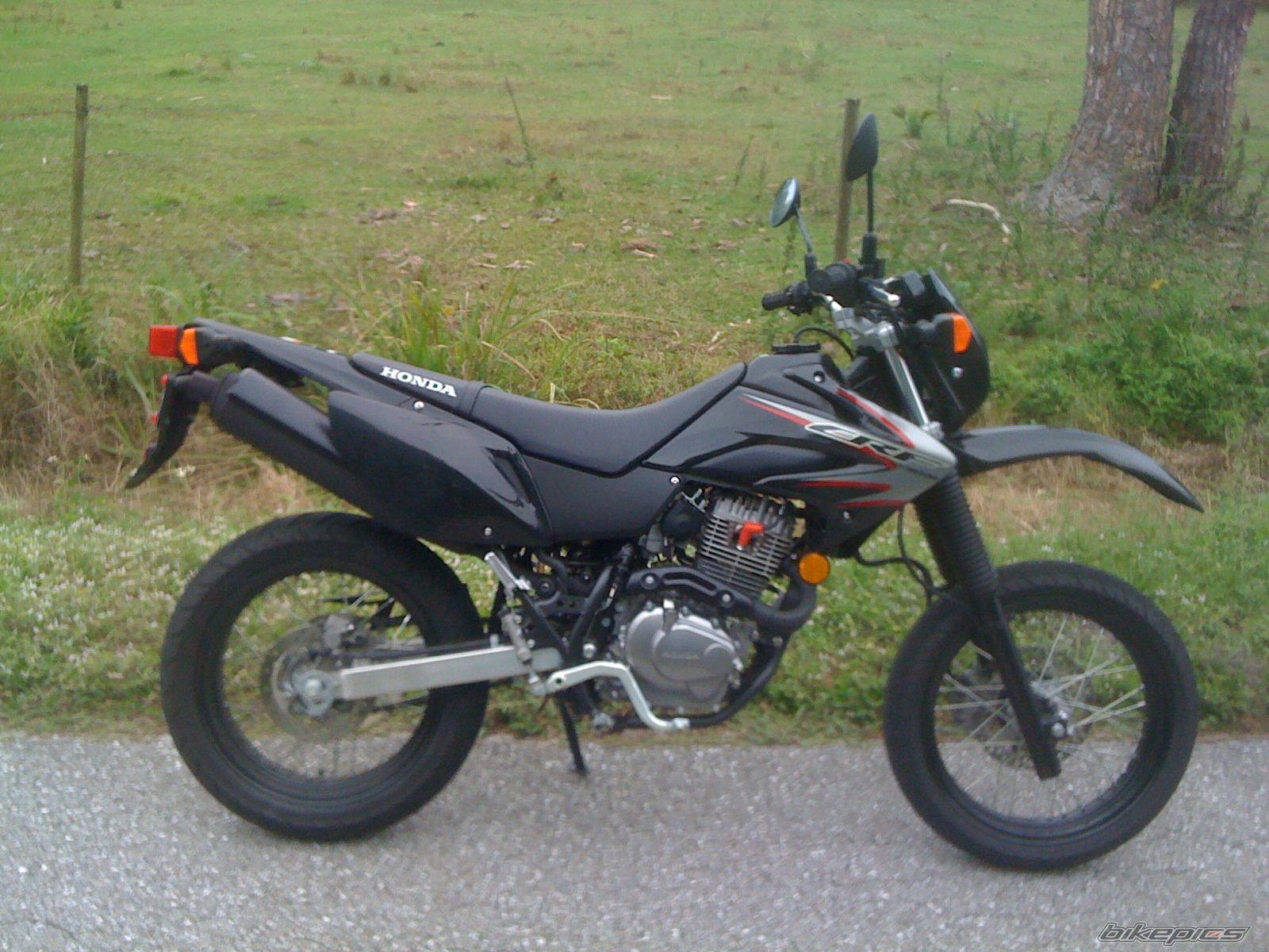 2009 HONDA CRF 230 | Picture 1853042 motorcycle photo