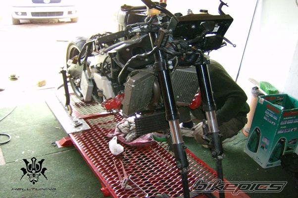 2009 APRILIA RSV 1000R MILLE | Picture 1853180 motorcycle photo
