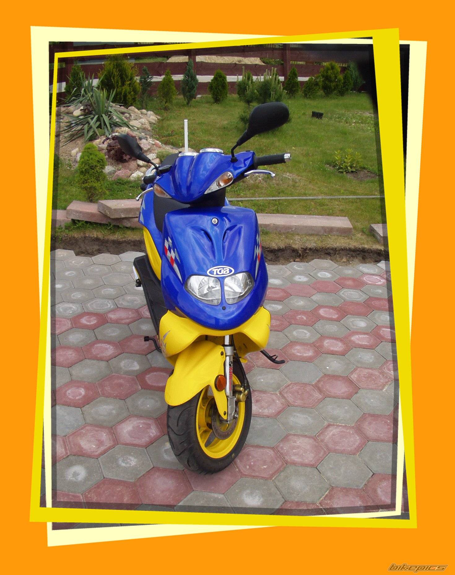 2003 TGB 303 RS | Picture 185322 motorcycle photo