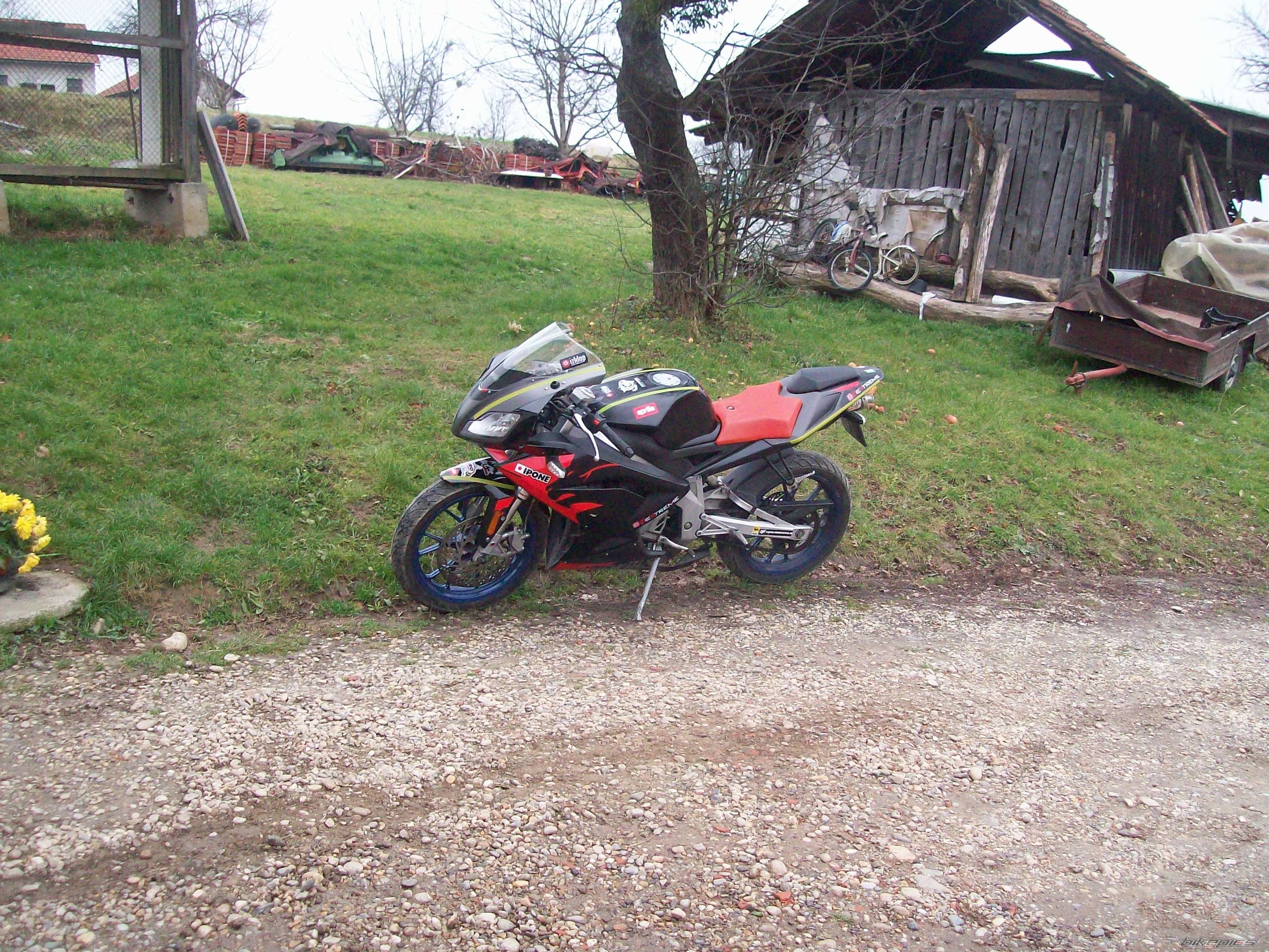 2009 APRILIA RS 50 | Picture 1853437 motorcycle photo