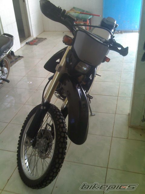 2003 HONDA XR 250 | Picture 1853736 motorcycle photo