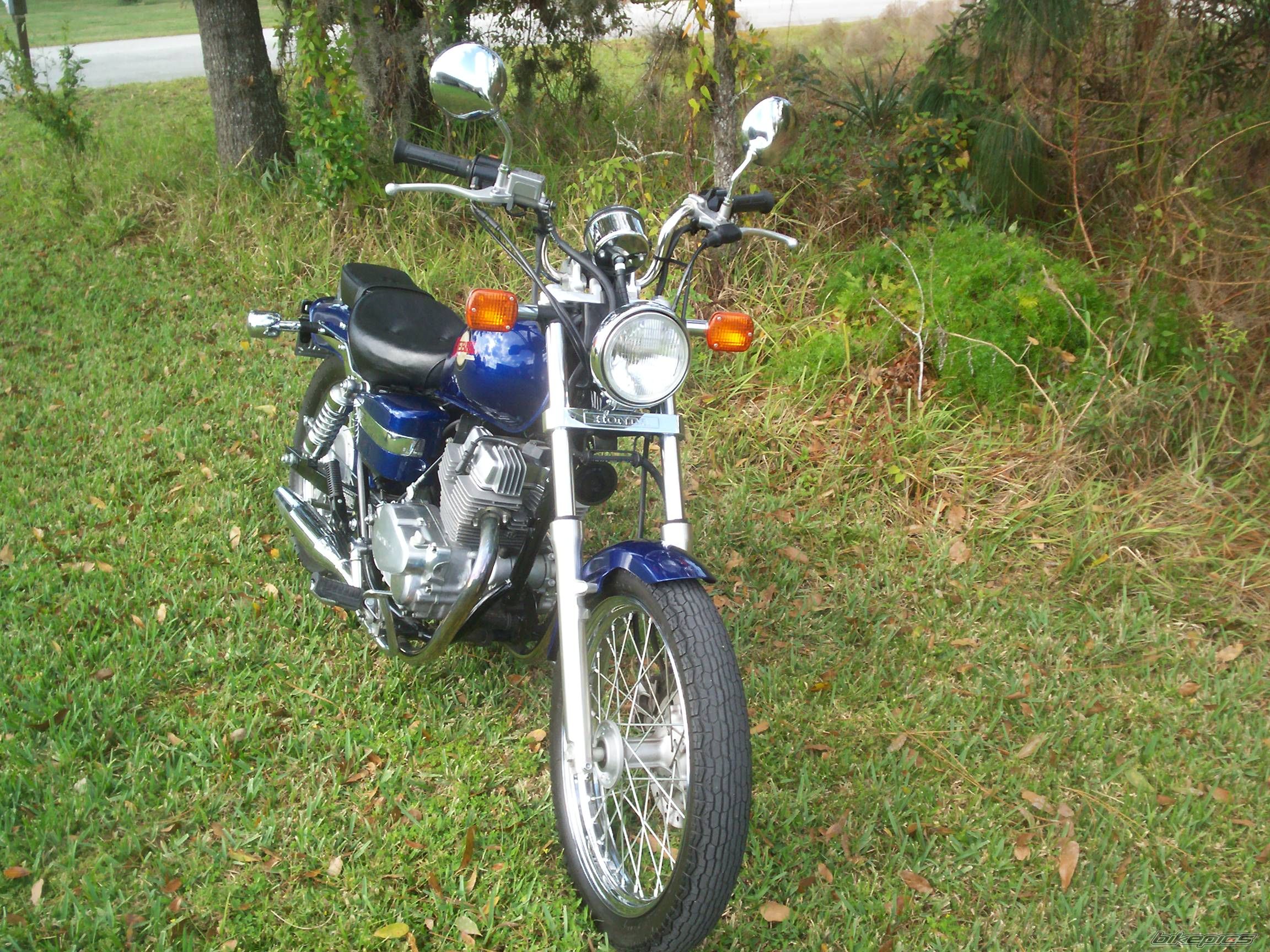 2001 HONDA CMX 250 | Picture 1854116 motorcycle photo