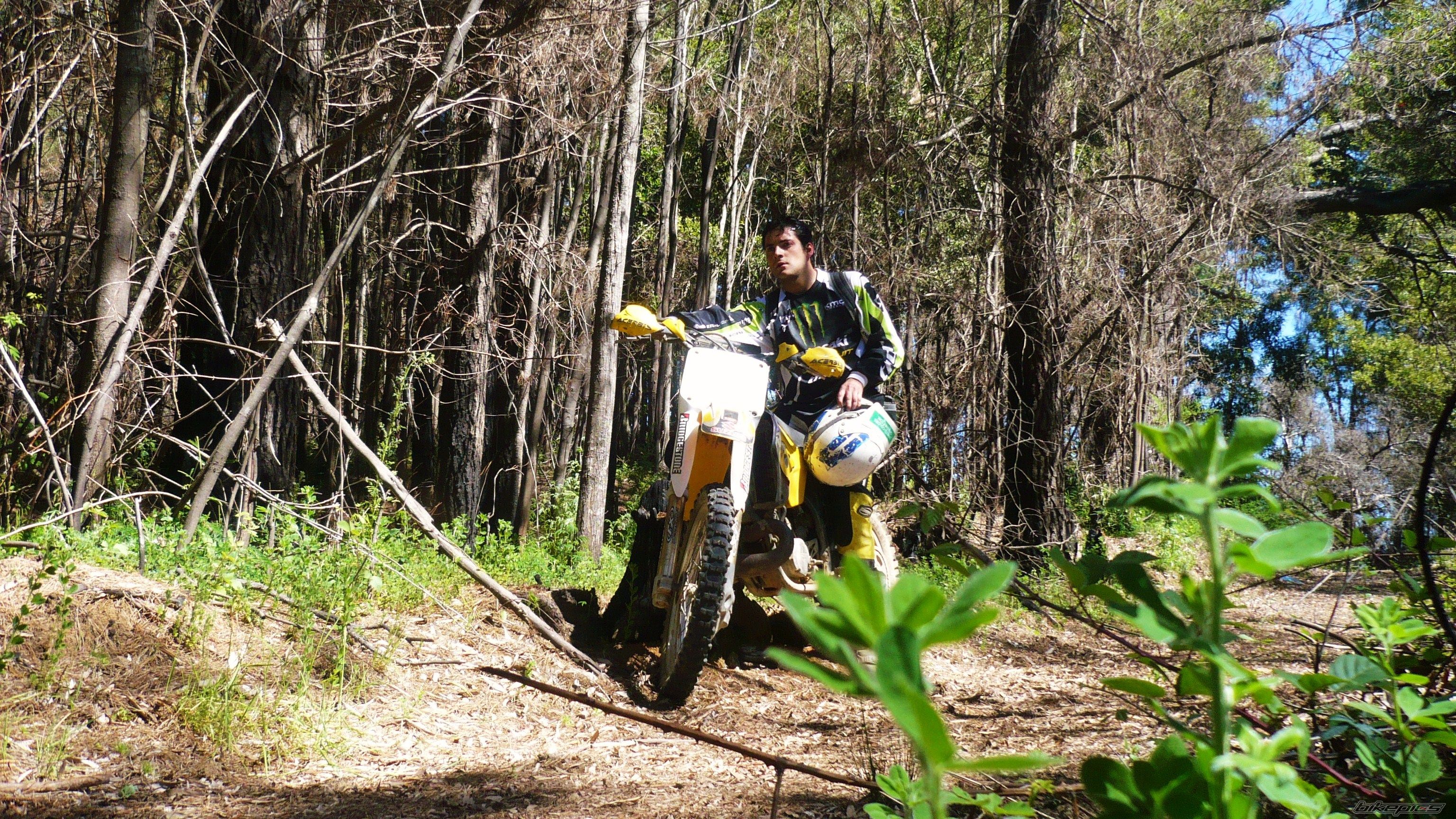 1998 SUZUKI RM 250 | Picture 1854172 motorcycle photo