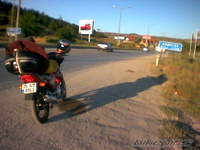 2004 YAMAHA YBR 125 | Picture 185431 motorcycle photo