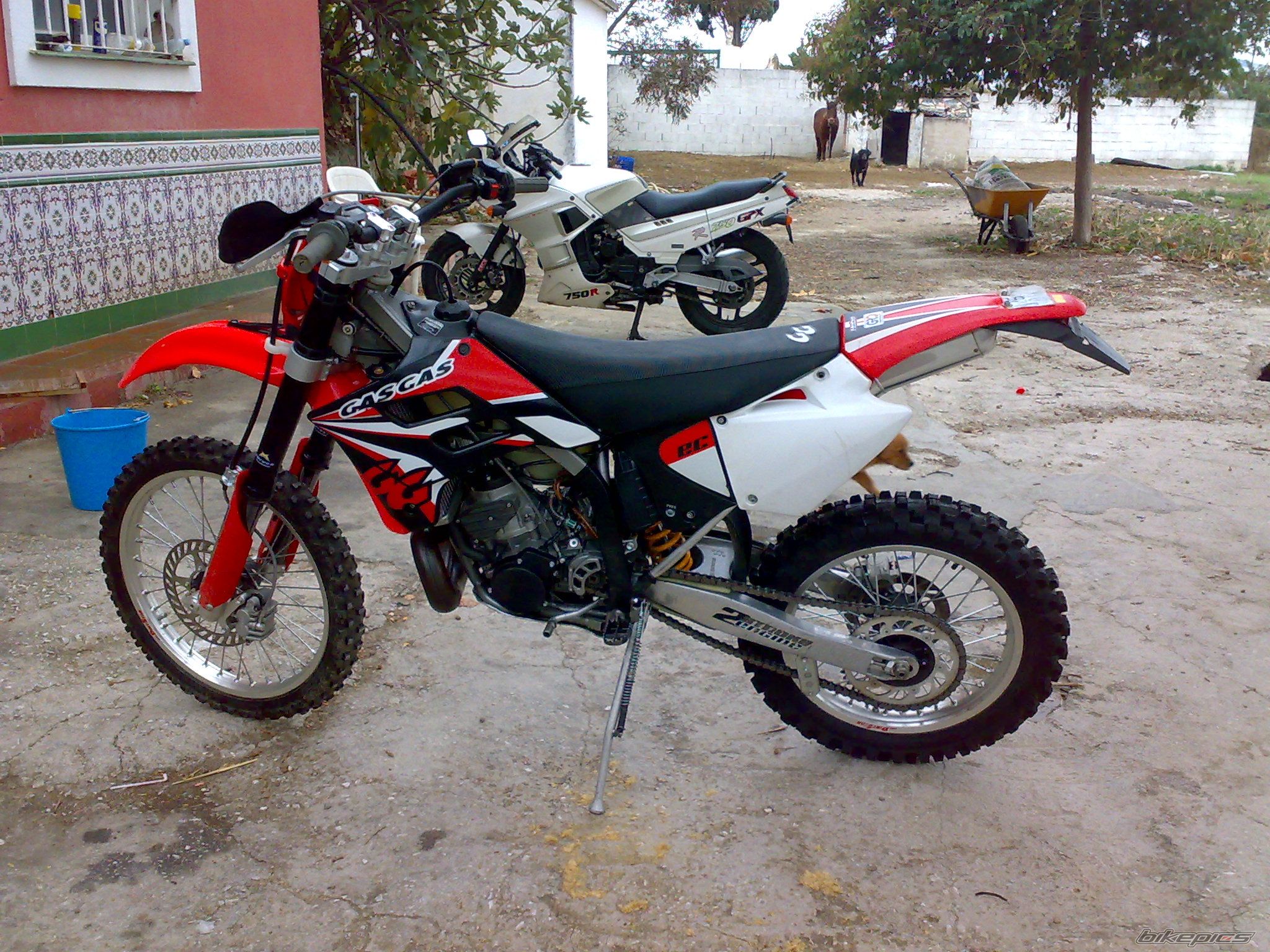 2005 GAS GAS EC 250 | Picture 1854507 motorcycle photo