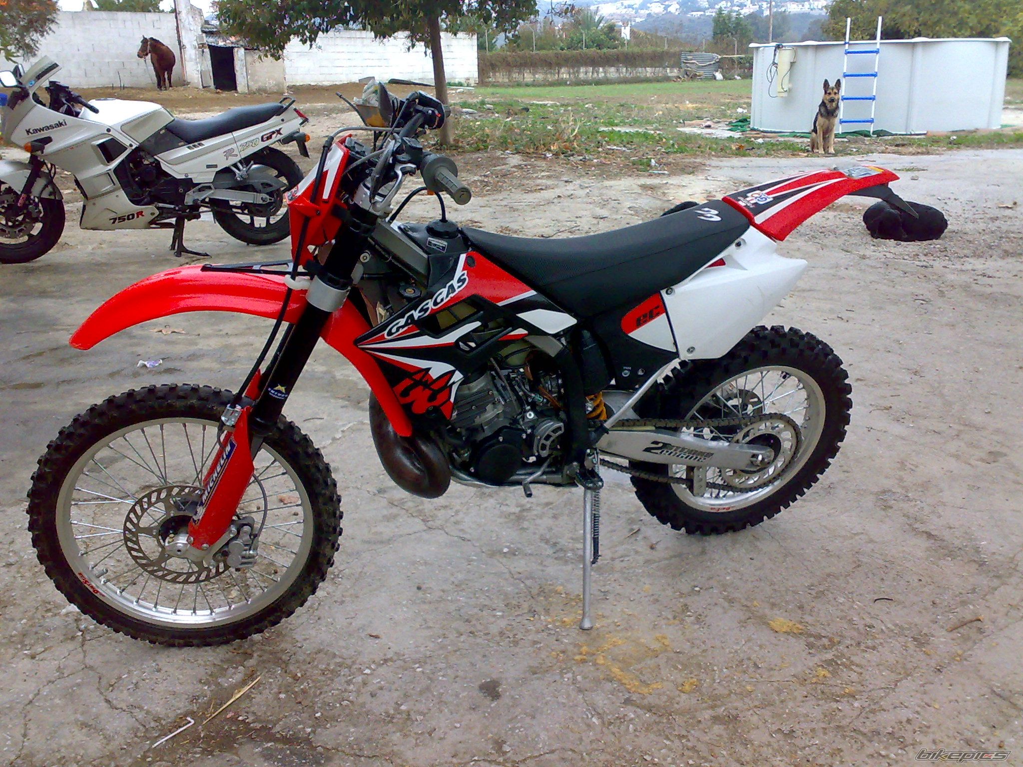 2005 GAS GAS EC 250 | Picture 1854508 motorcycle photo