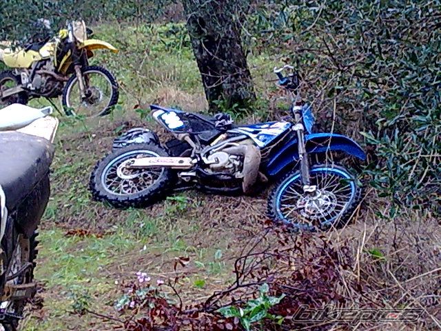 2003 TM TM300 2T CROSS | Picture 1854555 motorcycle photo