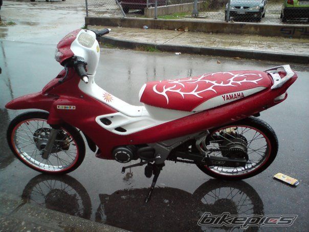 2010 YAMAHA Z 125 | Picture 1855074 motorcycle photo