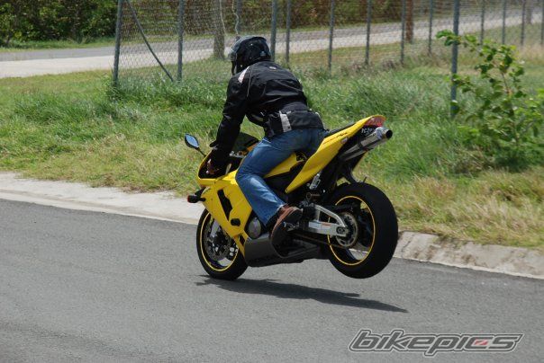 2005 HONDA CBR 600 RR | Picture 1855253 motorcycle photo