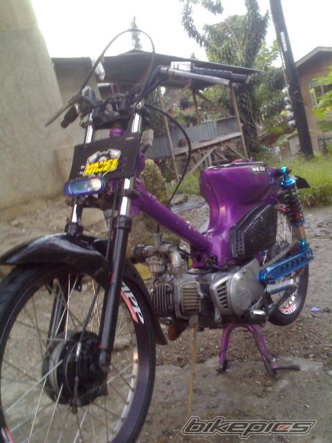 2009 HONDA CUB | Picture 1855504 motorcycle photo