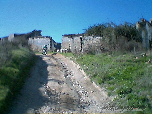 2009 KAWASAKI KLX 250 | Picture 1855534 motorcycle photo