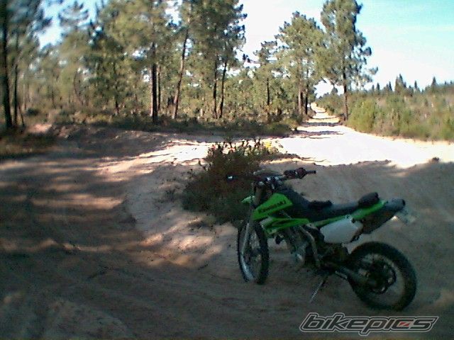 2009 KAWASAKI KLX 250 | Picture 1855536 motorcycle photo