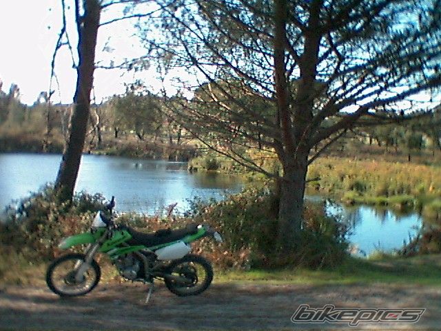 2009 KAWASAKI KLX 250 | Picture 1855537 motorcycle photo